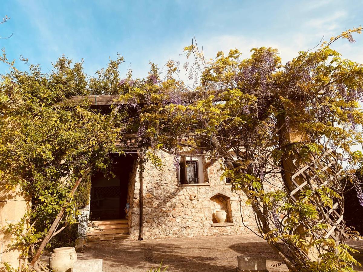 Vigna Vecchia Patu