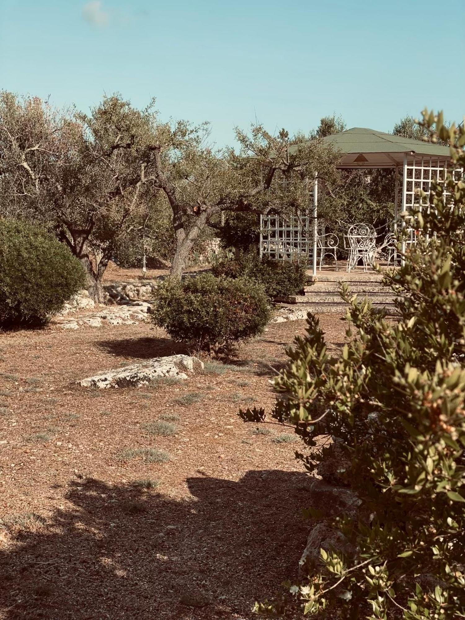 Vigna Vecchia Patù