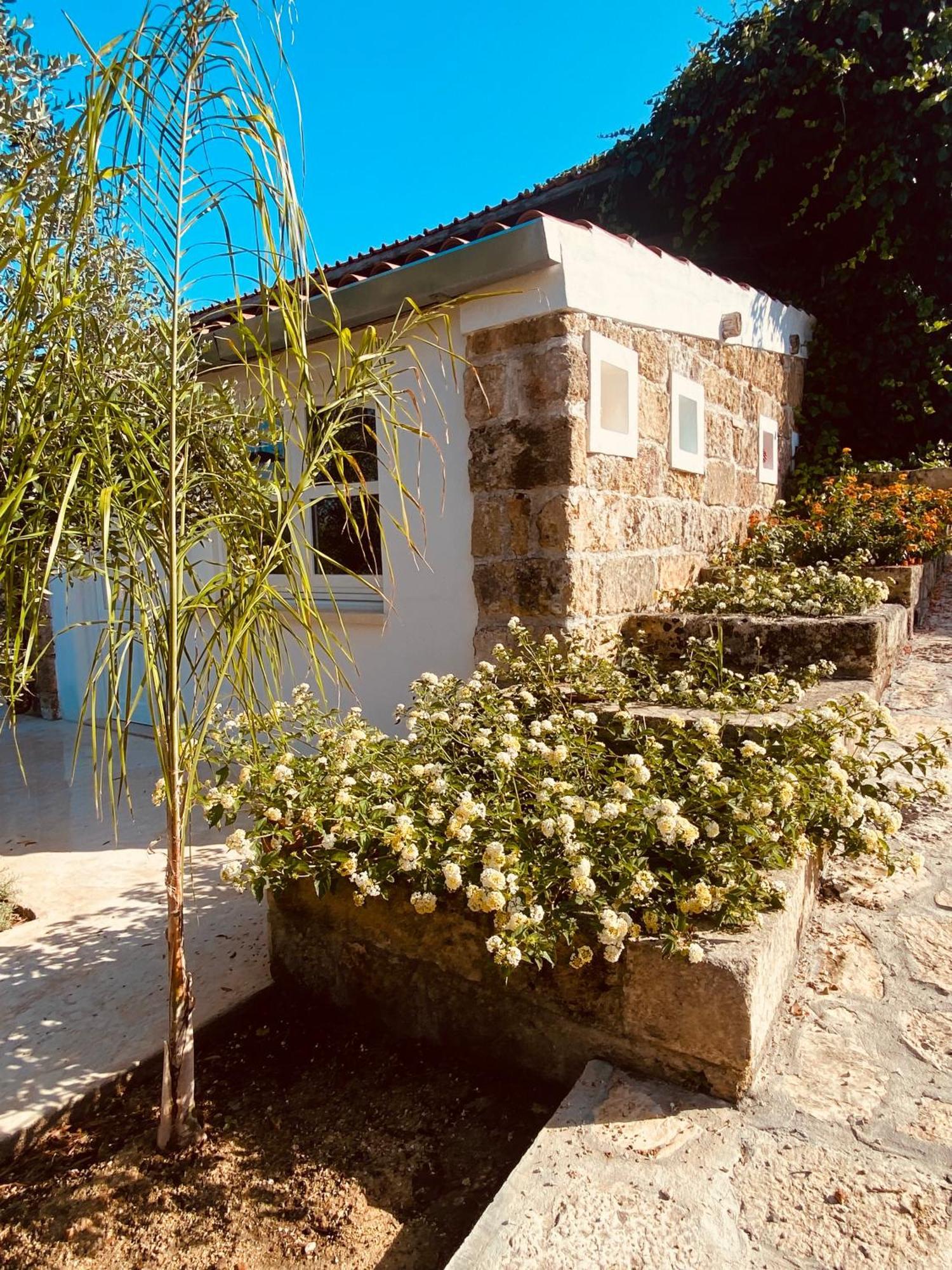 Vigna Vecchia Holiday home *